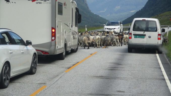 12.07.19 Überraschung am Weg