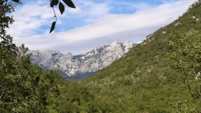 Adria Ost 2019 - Tag 5 - 3 (2)