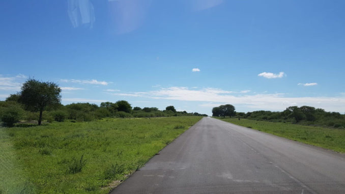 Botswana 2020 – Tag 16 (1)