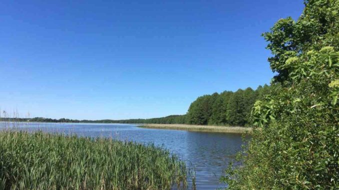 Masuren II 2020 – Tag 6 (1)