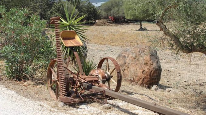 Sardinien – Tag 5 – 6 (1)