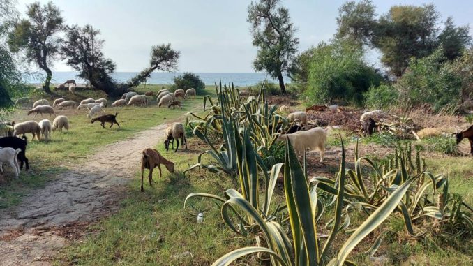 Sizilien mit Rom – Tag 8 (1)
