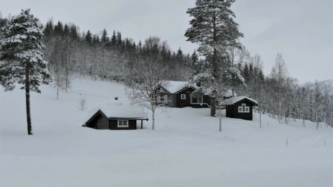 Polarlichter – Tag 18 – 1 (1)