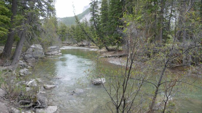 Kanada 2022 – Tag 16 – 2 (5)
