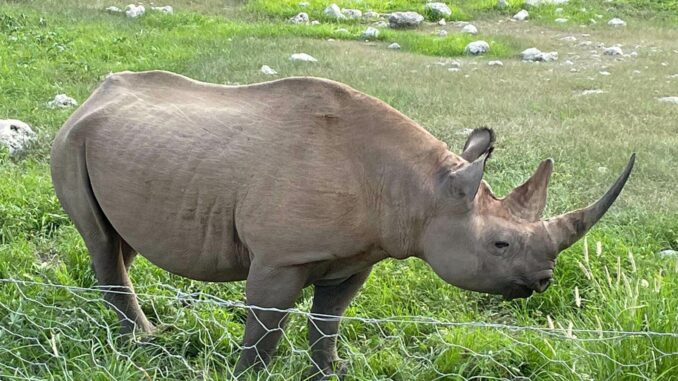 Botswana – Tag 26 – 28 – 4 (1)