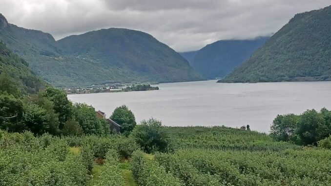Norwegen-Schweden - Tag 8 (3)