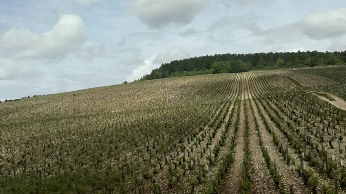 Frankreich – Tag 4 (4)