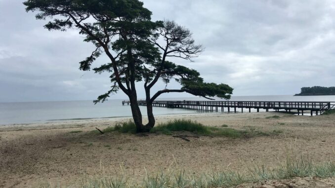 Schnuppertour Skandinavien – Tag 8 – 2 (9)