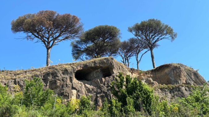 Sizilien I – Tag 1 (2)