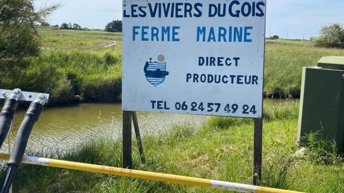 Frankreich – Tag 15 (1)