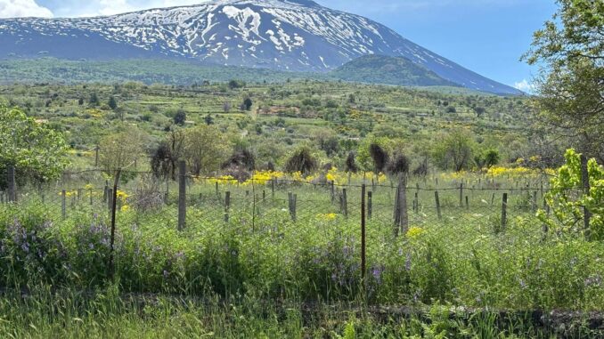 Sizilien I – Tag 12 (1)