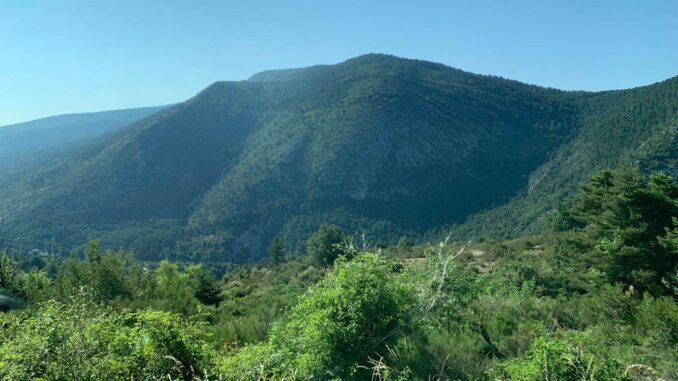 Provence – Tag 4 (3)