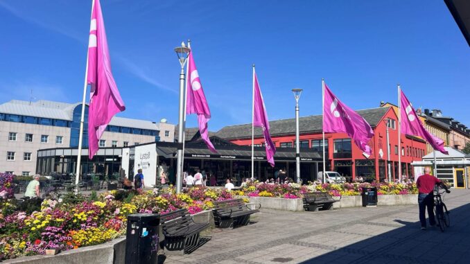 Norwegen-Schweden – Tag 10 (13)