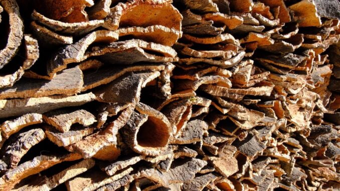 Portugal I – Tag 15 – 2 (19)